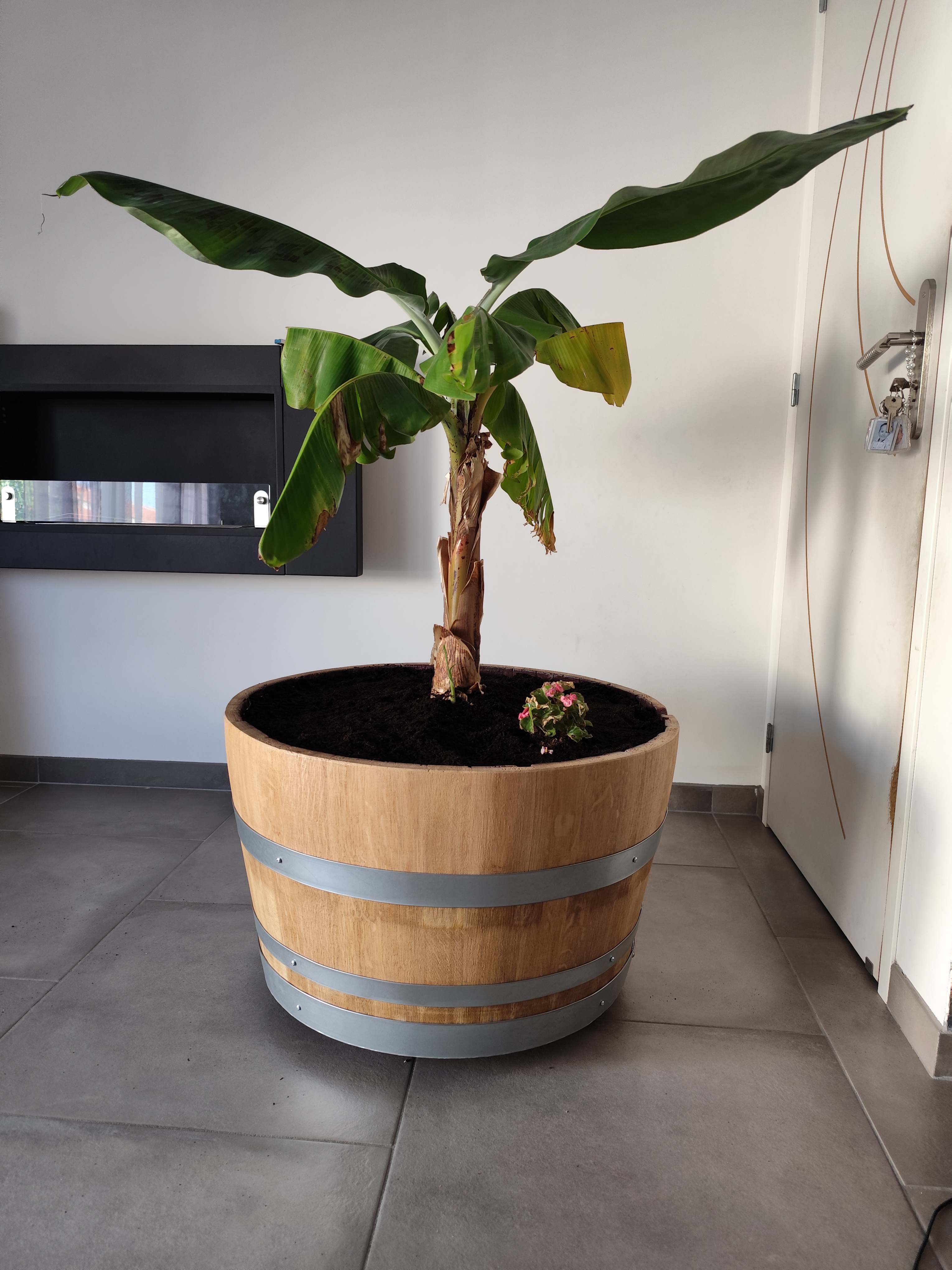 Bac à fleurs en tonneau - Décoration intérieure